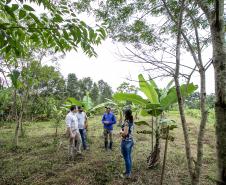 Portos do Paraná recupera área florestal equivalente a 40 campos de futebol em Antonina