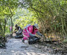 Mutirão de limpeza de manguezais da Portos do Paraná recolhe mais de 600 quilos de resíduos 