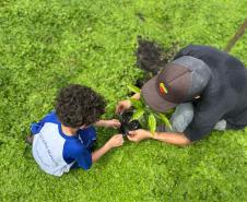 Portos do Paraná encerra outubro com atividades socioambientais no litoral do Estado