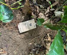 Portos do Paraná encerra outubro com atividades socioambientais no litoral do Estado