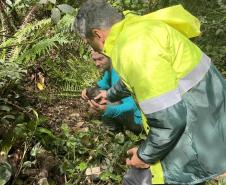Portos do Paraná encerra outubro com atividades socioambientais no litoral do Estado