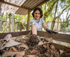 Empresas da Ilha do Mel recebem certificado ambiental da Portos do Paraná