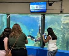 Reforma patrocinada pela Portos do Paraná melhora visitação no Aquário de Paranaguá