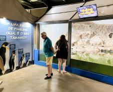 Reforma patrocinada pela Portos do Paraná melhora visitação no Aquário de Paranaguá