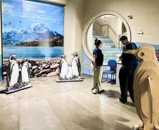 Reforma patrocinada pela Portos do Paraná melhora visitação no Aquário de Paranaguá