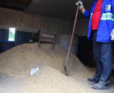 “Operação Rastro” coíbe roubo de cargas de grãos em Paranaguá