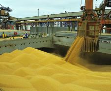 Movimentação de grãos no Corredor de Exportação aumenta 22% em junho