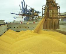 Porto de Paranaguá fecha o mês de agosto com recorde histórico no carregamento de grãos