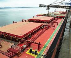 Porto de Paranaguá recebe o maior navio graneleiro da história
