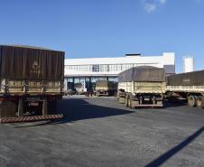 Após 9 dias de paralisação, caminhões voltam a descarregar no Porto de Paranaguá