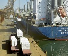 A empresa, maior produtora e exportadora de papéis do Brasil, escolheu o porto paranaense para realizar a movimentação de celulose e derivados. Desde 2016, quando começou a operar no Estado, foram 1.779.796 toneladas transportadas.