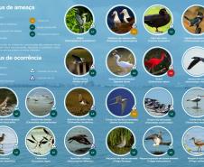 É o resultado da 1ª fase do Programa de Monitoramento de Avifauna, realizado pela Administração dos Portos de Paranaguá e Antonina está concluindo. Em 28 meses, a equipe avistou 132 espécies diferentes. 