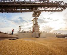 As exportações de milho pelo Porto de Paranaguá, entre janeiro e maio de 2019, já superam o volume registrado em todo o ano de 2018. Números divulgados pelos Portos do Paraná, nesta segunda-feira (10), mostram que nos primeiros cinco meses deste ano foram 1,4 milhão de toneladas exportadas. Nos doze meses de 2018 foram 1,09 milhão de toneladas.