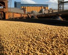 Os números da APPA ainda indicam aumento na movimentação de outras cargas. Entre os granéis sólidos, um dos destaques é do milho, cuja exportação foi 47% maior nos primeiros meses deste ano em comparação ao primeiro quadrimestre do ano passado.
