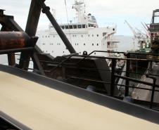 Das 24,6 milhões de toneladas de mercadorias movimentadas pelos portos paranaenses até julho, 12,5 milhões de toneladas correspondem aos granéis sólidos exportados, cuja movimentação cresceu 10% no comparativo com 2011. 