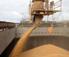 O destaque entre os granéis foi o milho, que apresentou alta de 41% nas exportações, fechando o mês de setembro com 2 milhões de toneladas movimentadas. 