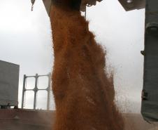 Só no último mês, a exportação do milho mais que dobrou em relação ao ano passado. De pouco mais de 415 mil toneladas movimentadas em 2011, chegou a mais de 979 mil em 2012. Ou seja, 136% a mais. O mês de outubro foi o mês que registrou a maior movimentação de milho deste ano.