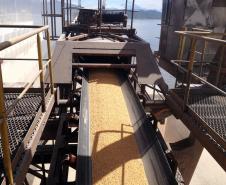 De janeiro a maio, foram exportadas 9 milhões de toneladas de grãos pelo Porto de Paranaguá, volume 12% maior do que o registrado em 2012. O sistema Carga Online, que vem recebendo melhorias periódicas, garantiu o recebimento de cargas sem formação de filas nas estradas.