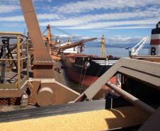 De janeiro a maio, foram exportadas 9 milhões de toneladas de grãos pelo Porto de Paranaguá, volume 12% maior do que o registrado em 2012. O sistema Carga Online, que vem recebendo melhorias periódicas, garantiu o recebimento de cargas sem formação de filas nas estradas.
