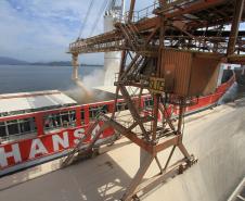 Controlando o fluxo de caminhões e a chegada dos navios, atenta aos índices e estimativas do campo, Appa pretende trabalhar, mais um ano, com tranquilidade no escoamento dos graneis de exportação.