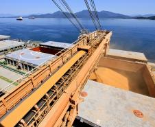 A exportação de granéis sólidos pelo Porto de Paranaguá apresentou alta de 12,9% no primeiro quadrimestre de 2014. Foram 5,5 milhões de toneladas de soja, milho e farelo de soja exportados.