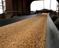 O Porto de Paranaguá fechou o mês de julho como o porto que mais exportou milho e farelo de soja no Brasil. Os dados são do Ministério do Desenvolvimento, Indústria e Comércio e listam as exportações brasileiras de grãos no período. 