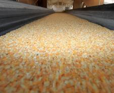 O Porto de Paranaguá bateu, no ultimo domingo (17), o recorde histórico de exportação de grãos pelo Corredor de Exportação. Foram embarcadas 112,9 mil toneladas de grãos no intervalo de 24 horas, mesmo com paralisação (por 2,5 horas) por conta das chuvas.