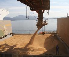 Porto de Paranaguá prevê aumento de 6% no embarque de soja em 2015