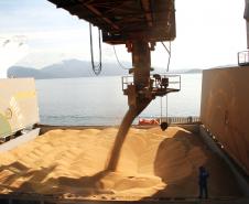 Milho e açúcar puxam exportações do Porto de Paranaguá em janeiro
