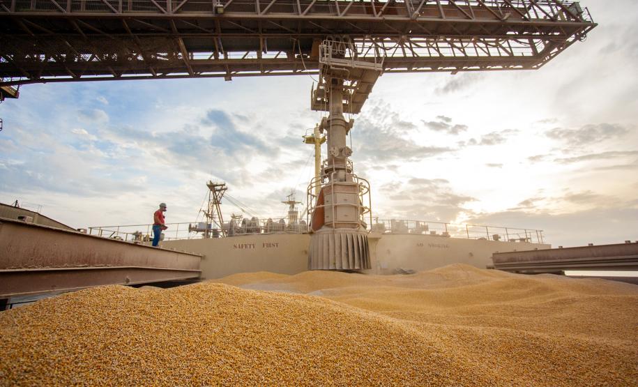 De janeiro a novembro deste ano foram embarcadas 5,49 milhões de toneladas do grão. No mesmo período de 2018 o volume somou 911,3 mil toneladas. A quantidade também é maior do que a registrada nos cinco anos anteriores.