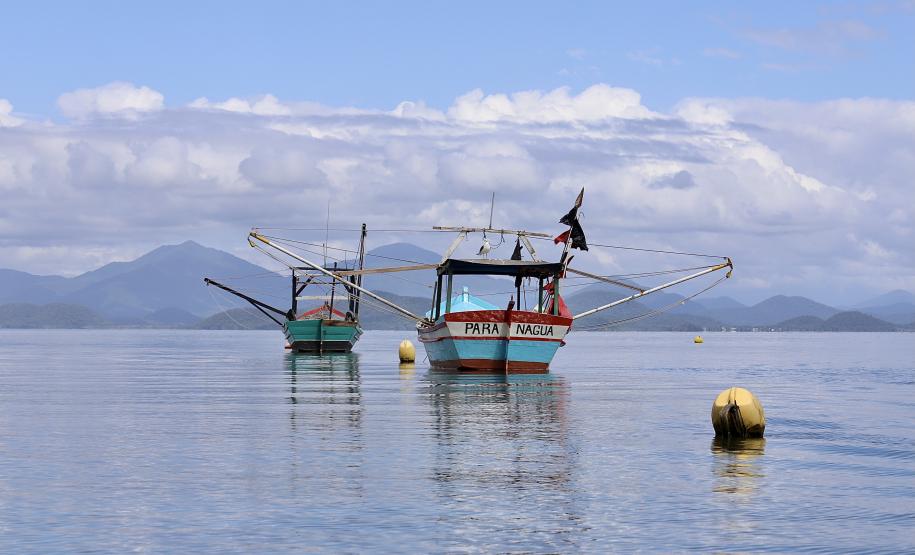Empresa Portos do Paraná promove ações de comunicação e valorização da atividade, aproveitando o aumento no número de veranistas nas praias. A atividade garante renda a cerca de 6 mil famílias no litoral paranaense.