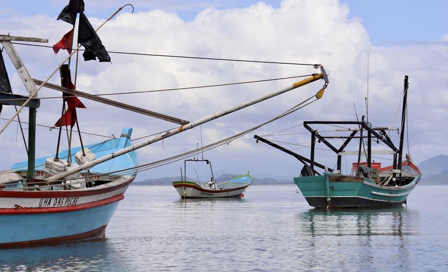 Empresa Portos do Paraná promove ações de comunicação e valorização da atividade, aproveitando o aumento no número de veranistas nas praias. A atividade garante renda a cerca de 6 mil famílias no litoral paranaense.