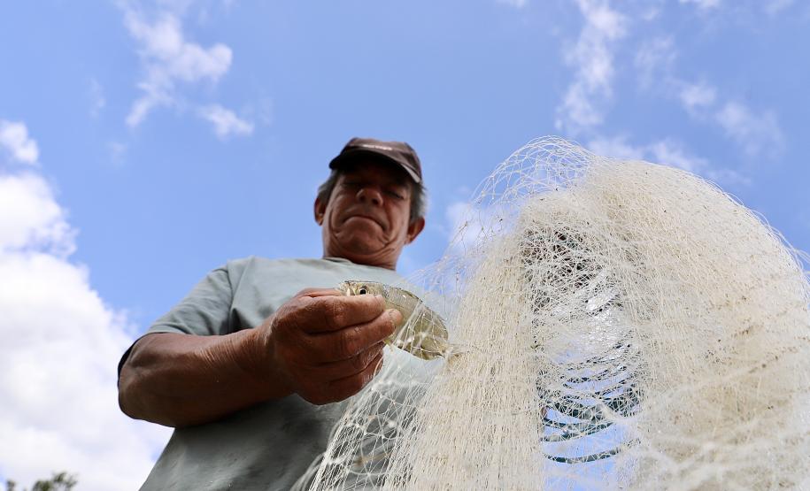 Empresa Portos do Paraná promove ações de comunicação e valorização da atividade, aproveitando o aumento no número de veranistas nas praias. A atividade garante renda a cerca de 6 mil famílias no litoral paranaense.