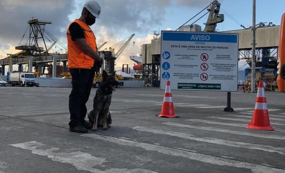 Animais fiscalizam veículos no cais do Porto de Paranaguá, sacolas e mochilas de trabalhadores portuários durante a troca de turno. Ações pontuais tem o objetivo de combater o tráfico internacional de drogas.