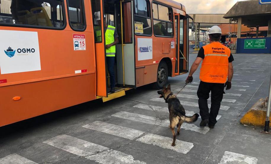 Animais fiscalizam veículos no cais do Porto de Paranaguá, sacolas e mochilas de trabalhadores portuários durante a troca de turno. Ações pontuais tem o objetivo de combater o tráfico internacional de drogas.