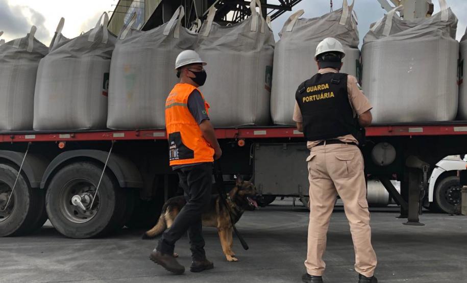 Animais fiscalizam veículos no cais do Porto de Paranaguá, sacolas e mochilas de trabalhadores portuários durante a troca de turno. Ações pontuais tem o objetivo de combater o tráfico internacional de drogas.