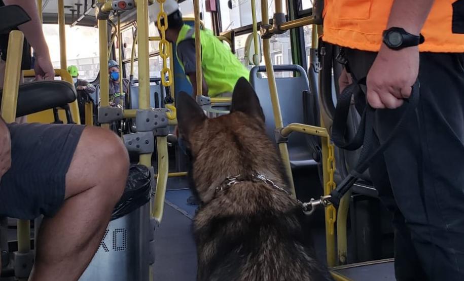 Animais fiscalizam veículos no cais do Porto de Paranaguá, sacolas e mochilas de trabalhadores portuários durante a troca de turno. Ações pontuais tem o objetivo de combater o tráfico internacional de drogas.