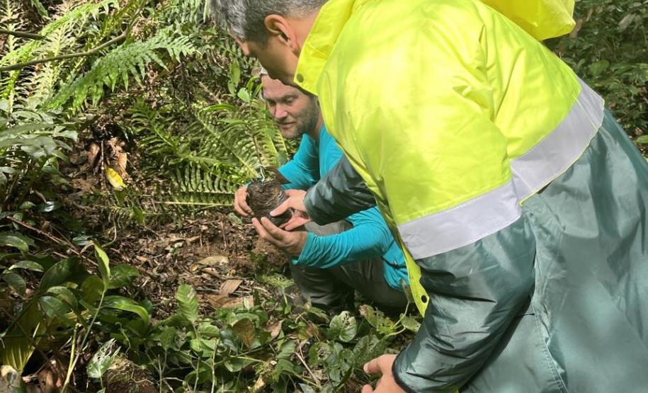 Portos do Paraná encerra outubro com atividades socioambientais no litoral do Estado