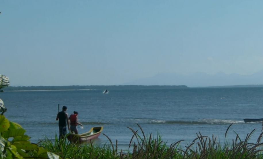 Maior raia do mundo aparece no entorno do Porto de Paranaguá Uma pesquisadora catarinense, formada pela Universidade Federal do Paraná (UFPR), registrou a ocorrência de raias mantas na área de influência do Porto de Paranaguá. Com o Projeto Raia Manta, agora ela estuda os detalhes da presença dessas, que são as maiores raias do mundo, aqui na região. A baía paranaense é o único lugar onde está confirmada a ocorrência sazonal dessa espécie.